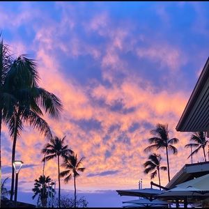 Meet your Posher, Camryn